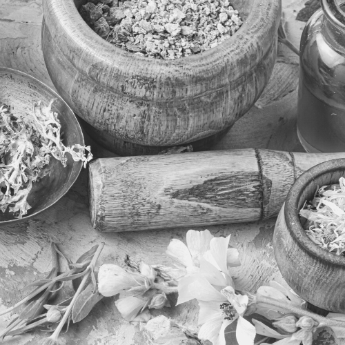 Women's Herbal Course